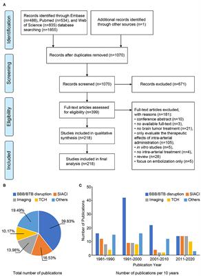 Strategies for Improved Intra-arterial Treatments Targeting Brain Tumors: a Systematic Review